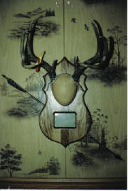 antler.jpg